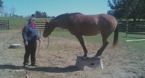 Maggie on the pedestal