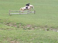 Anna Alford on Frisko
