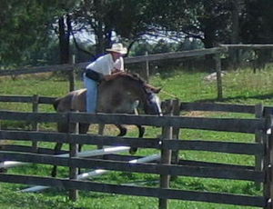 Susan Richardson jumping Grayson, bareback and bridleless
