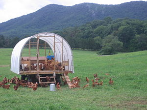 200 hardworking gals
